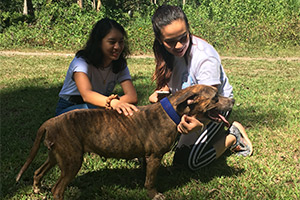 Visit to a Dog Shelter