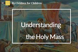 Understanding the Mass by Sixth Graders