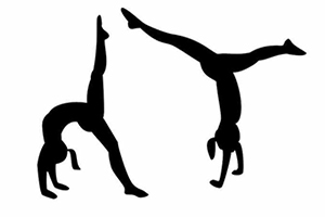 Students Excel in Gymnastics