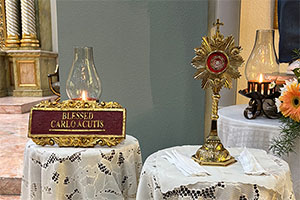 Relic of Bl. Carlos Acutis